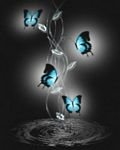 pic for Blu Butterflies